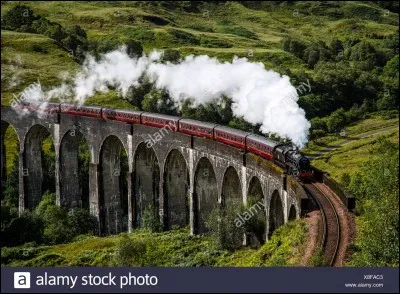 Avant de partir de Poudlard et de rentrer chez ton oncle et ta tante moldus, tu...