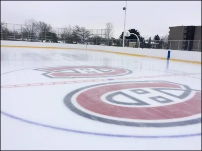 Quelle est la patinoire de ce club ?