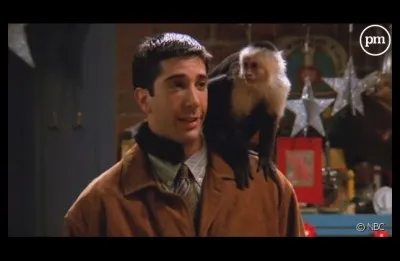 Que découvre Ross au sujet de son singe ?
