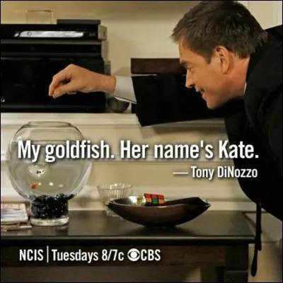 Dans "Le baiser du tueur" (saison 2, épisode 22) que fait Tony pour énerver Kate ?