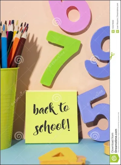 Pour toi, le youtubeur parfait aurait...