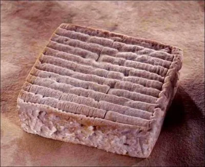 Quel fromage du pays d'Auge devient carr au XVIIIe sicle ?