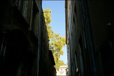 Tu préfères ne plus avoir...