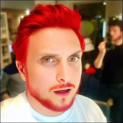 Quel est le célèbre jeu qui a fait des désastres sur les cheveux de Mcfly de la chaîne ''Mcfly et Carlito'' ?