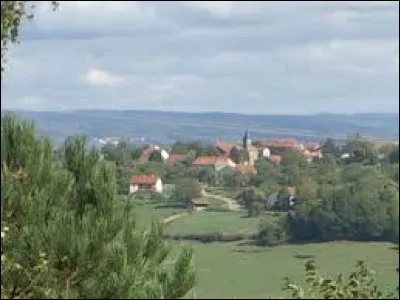 Petit village Haut-Saônois de 71 habitants, Plainemont se situe en région ...