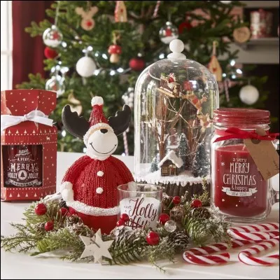 Aimes-tu d&eacute;corer ta maison et le reste ?