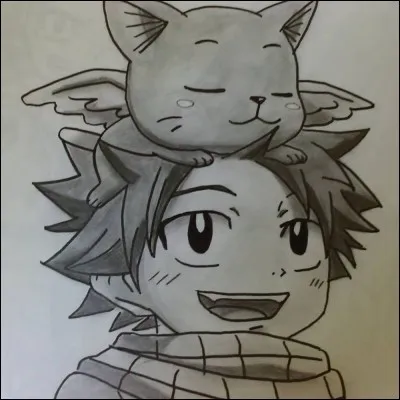 Quel type de dessin est-ce ?