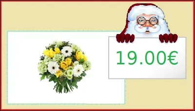 Un beau bouquet de fleurs : 19.00