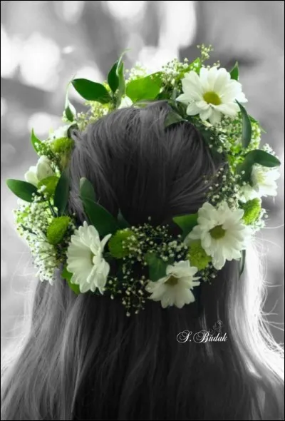 Qui chantait "Les lendemains avaient un goût de miel" ?