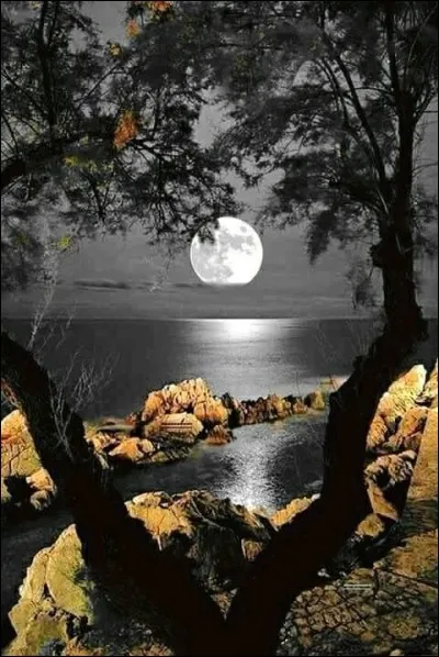 Quant à moi, j'avais choisi Cala d'Or, où s'est passée ma lune de miel ?