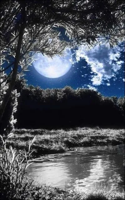 Dans le titre d'un film de Robert Lamoureux, qui était au clair de lune ?