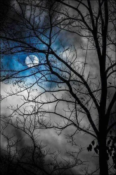 Qui a écrit le roman "Le Coup de lune" ?