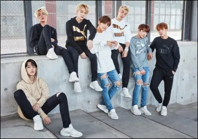 Cette question est dédiée à l'attentionnée Louloupanda - 
Quelle marque ne contient pas de rouge dans son logo ?