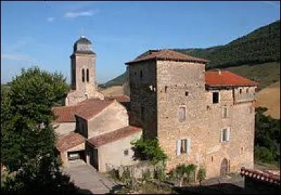 Saint-Georges-de-Luzençon est un village de l'ancienne région Midi-Pyrénées situé dans le département ...