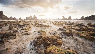 D : Les langues officielles de Djibouti sont le français et l'anglais.