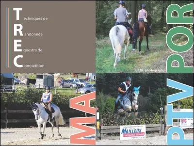 Quelle discipline équestre préfères-tu ?