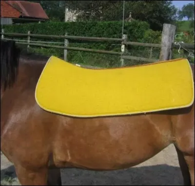 Pour quelle discipline est fait ce tapis ?