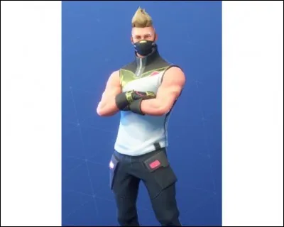 Quel est ce skin ?