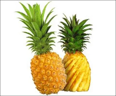 Quels sont ces fruits ?