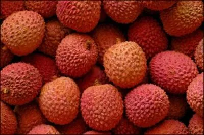 Quels sont ces fruits ?