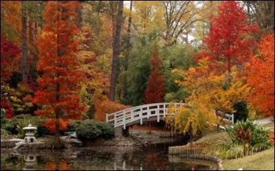 Que penses-tu de cette image ?