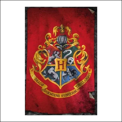 Dans quelle maison veux-tu aller ?