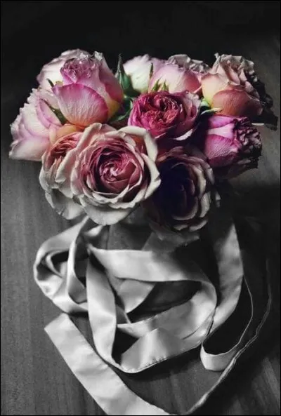 À qui s'adressait Jacques Brel en chantant "Adieu.... je vais mourir" ?