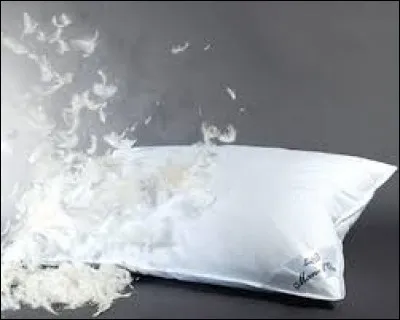 "J'ai crevé..." sont les premiers mots d'une de ces chansons.
Ne rêvez pas trop fort et servez-vous de la photo pour trouver le chanteur !