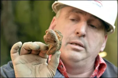 Où le tibia se trouve-t-il ?