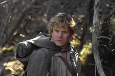 Quel est le métier de Sam ?