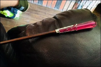 À qui appartient cette baguette ?