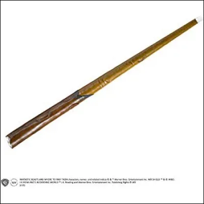 À qui appartient cette baguette ?