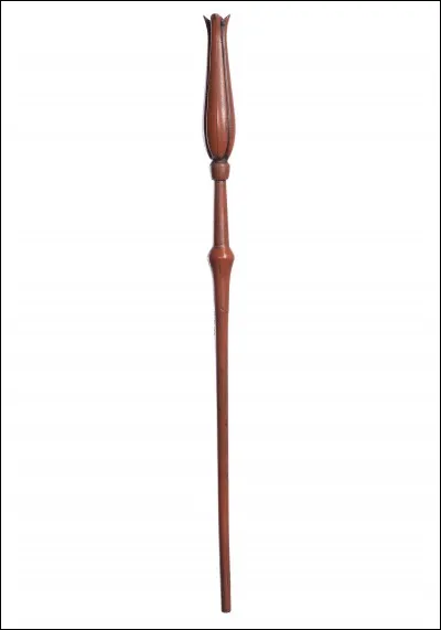 À qui appartient cette baguette ?