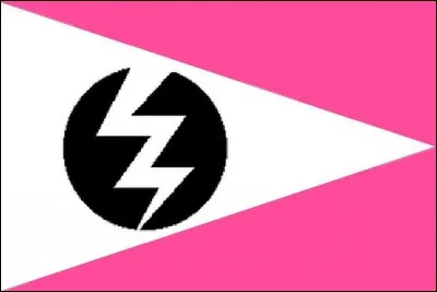 Ce drapeau appara&icirc;t-il dans une œuvre d'Herg&eacute; ? Et si oui, laquelle !