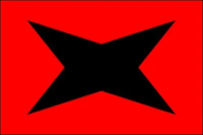 Apr&egrave;s 1946, le drapeau du Sao Rico (dans &laquo; L'Etoile Myst&eacute;rieuse &raquo;) est modifi&eacute; pour devenir celui-ci : quel &eacute;tait-il auparavant ?