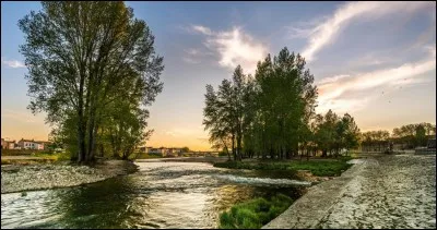 Votre activité préférée est...