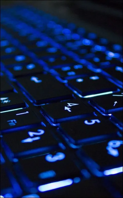 Quelle technologie préférez-vous ?