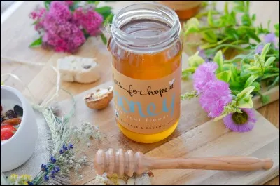 Le miel est appelé "nectar des dieux" car il aide a cicatriser les plaies plus vite.