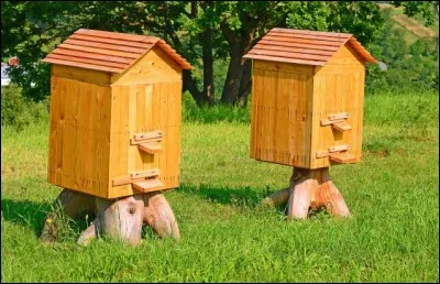 Où trouve-t-on le miel, normalement ?