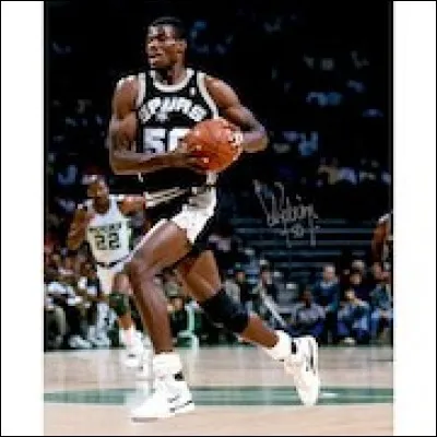 En quelle année David Robinson a-t-il obtenu le seul et unique titre de meilleur défenseur de sa carrière ?