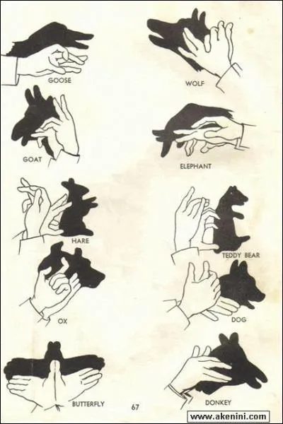 Quel est le nom des signes dans 'Naruto' ?