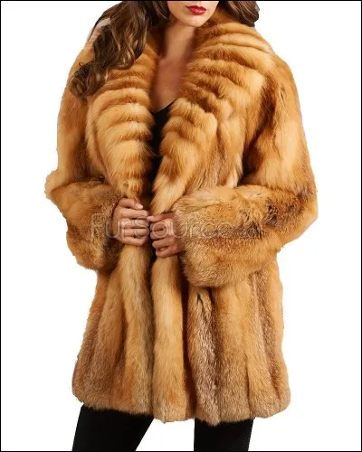 Les élevages d'animaux pour leur fourrure contiennent des renards :