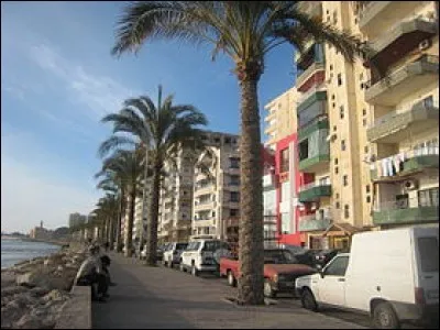 Cette ville c&ocirc;ti&egrave;re du sud-Liban, au riche pass&eacute;, habit&eacute;e depuis pr&egrave;s de cinq mill&eacute;naires, c'est :