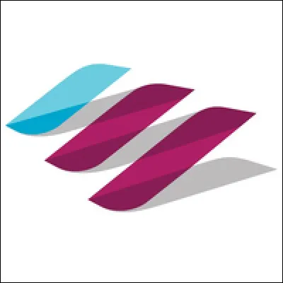 Quelle est cette société ?