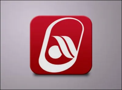 Quelle est cette société ?