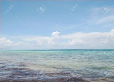 Qu'est-ce qu'un gyre océanique ?