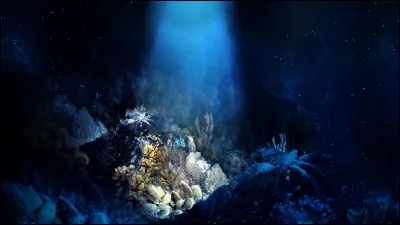 Qu'est-ce qu'un batyscaphe ?