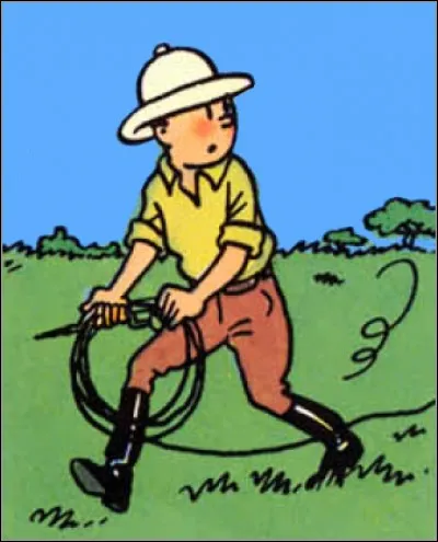 Que déroule Tintin ?