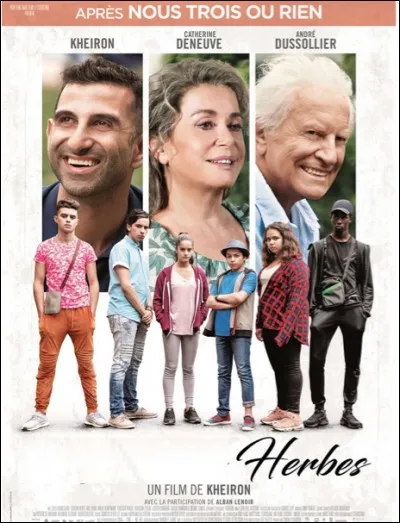 Quel est ce film ?