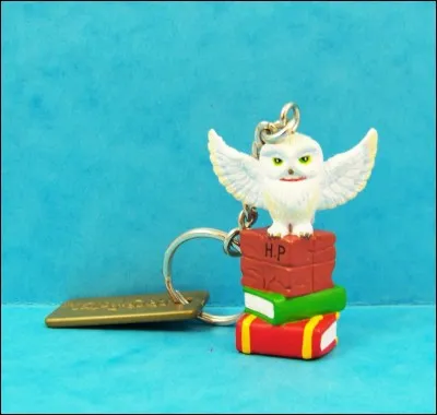 J'ai ramené ça pour ma cousine, Anna 
Je suis allé au ...